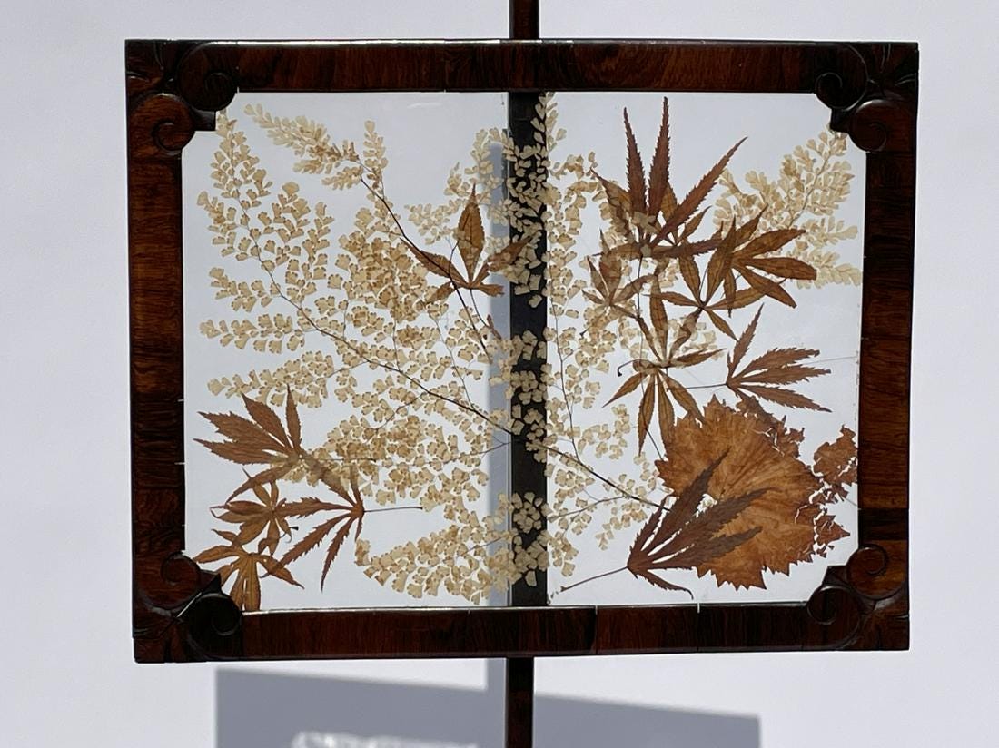 19TH CENTURY ADJUSTABLE FIRESCREEN