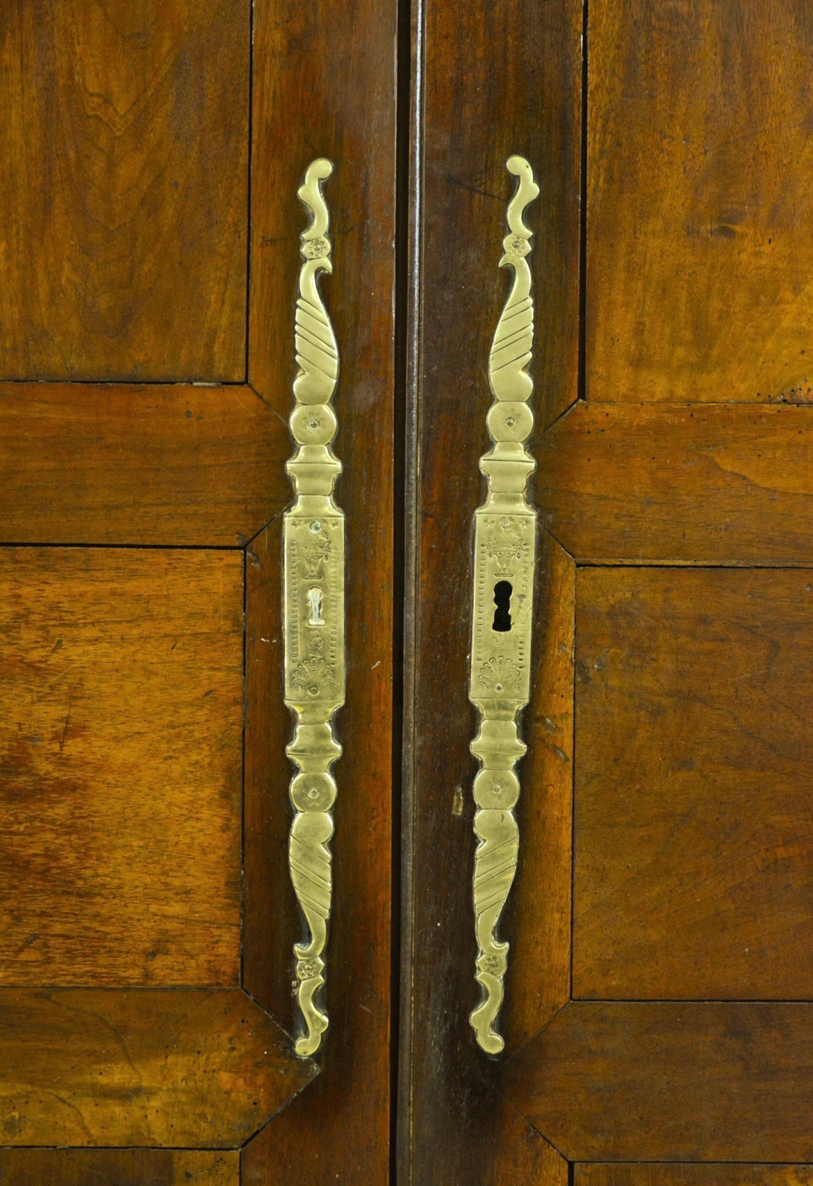 Pair of Antique French Mahogany Doors