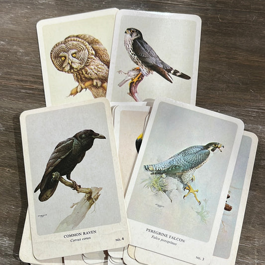 1960s General Cigar Northern Birds Card Set