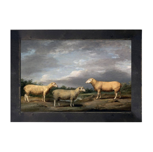 Vintage Sheep, Framed Art