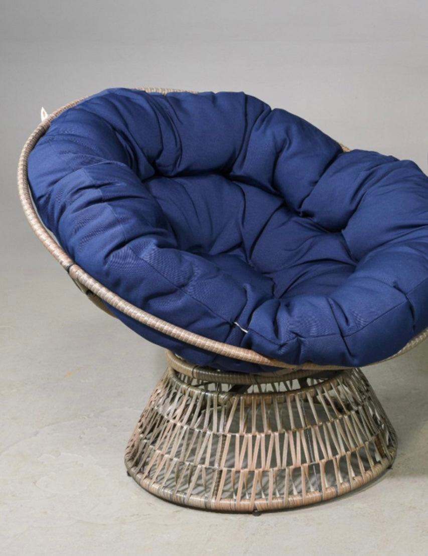 Pierre Papasan Swivel Chair