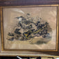 Vtg Paul Jerrard Lithograph Birds 19th Century P. Jerrard, Litho, III, Fleet St.
