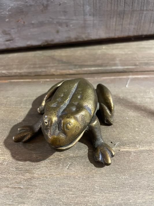 Vintage English Frog Hidden Box