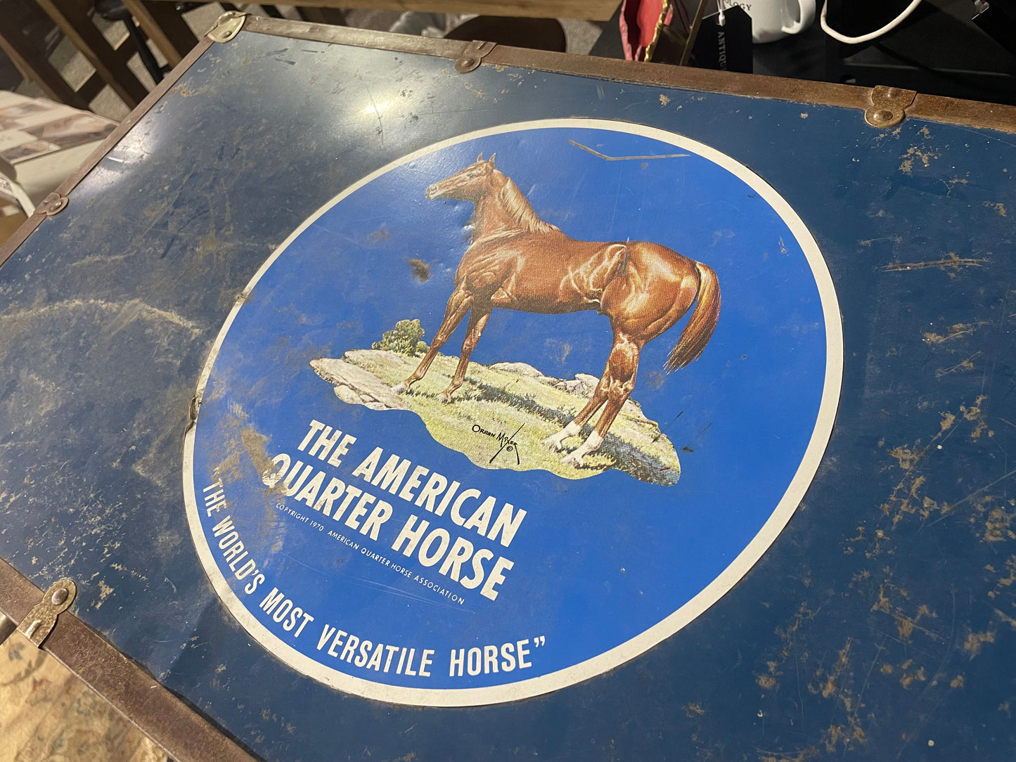 Vintage Trunk, American Quarter Horse