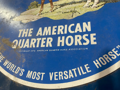 Vintage Trunk, American Quarter Horse