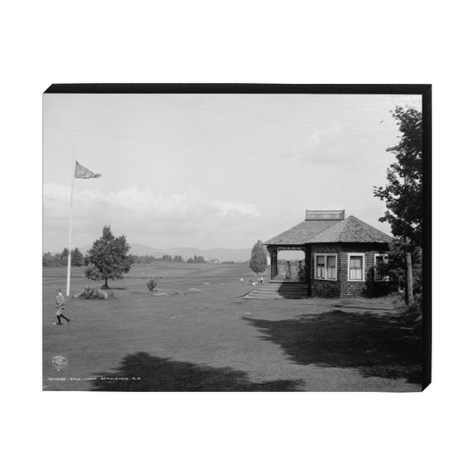 Brick House in Big Field Canvas