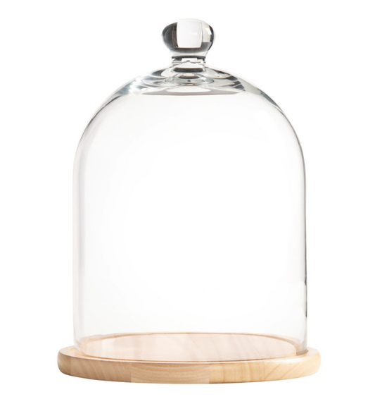 Glass Cloche with Wooden Base