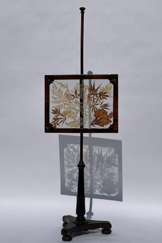 19TH CENTURY ADJUSTABLE FIRESCREEN