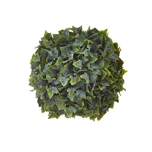 RAZ 12" Ivy Ball