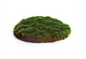 Moss Sheet Round