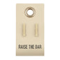 Raise the Bar Earrings