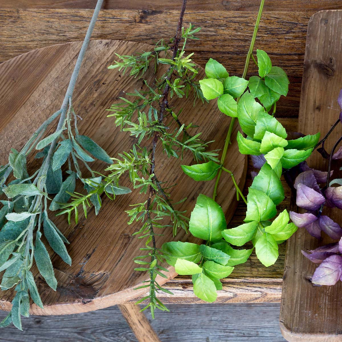 Rosemary Stem