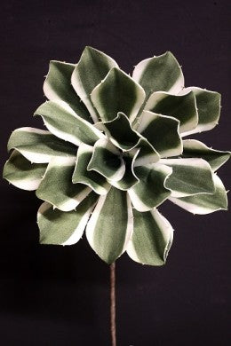 Green Succulent Foam Bloom 44"